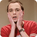 Sheldon Lee Cooper Puzzle