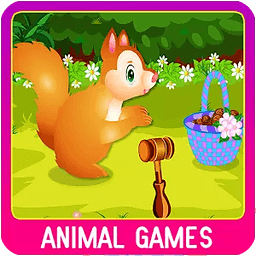 Squirrel Care Animal Games