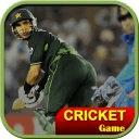 Cricket World Cup Game IndoPak