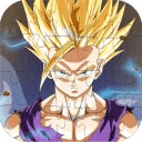 Dragon Ball Jigsaw Puzzle