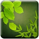 Green Leaf Live Wallpaper