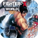 Fighter World