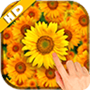 Sunflower Falling Wallpaper