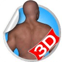 Back 3D Fitness Workout Sets