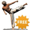 Taekwondo Forms (Sponsored)