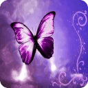 BUTTERFLY WALLPAPERS