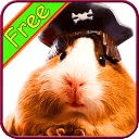 Guinea Pig+ Free