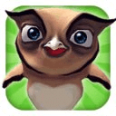 Owl Run: 3D Bird Running Game