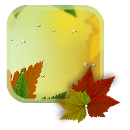 Fall Colors HD Live Wallpapers