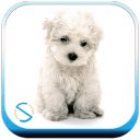 Puppy - Start Theme