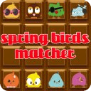 Spring Birds Matcher