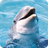 Dolphin Wallpapers