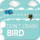 Don't Crash Bird