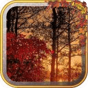 Top50 Autumn Live Wallpaper