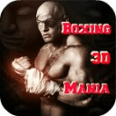 Boxing 3D Mania