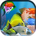 aniPet Aquarium LWP