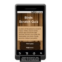 Birds Scratch Quiz