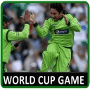 Worldcup Game Free Indo Pak