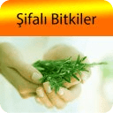 Şifalı Bitkiler A dan Z ye