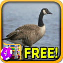 Goose Slots - Free