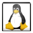 Autorun Linux