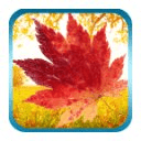 Maple Leaf Live Wallpaper