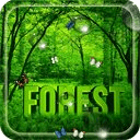 Rain Forest Green Wallpaper