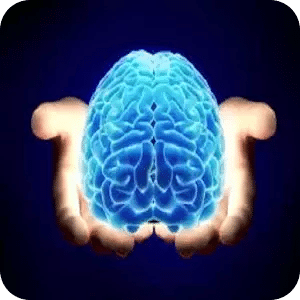 3-D brain Atlas