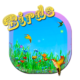 Birds HD Live Wallpapers