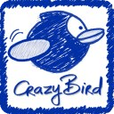 Crazy Bird - Fly Now