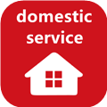 Domestic Service