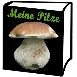 Meine Pilze (Pilzbestimmung)