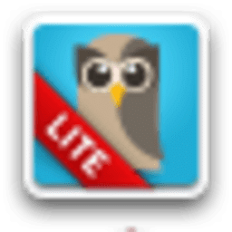 HootSuite Lite