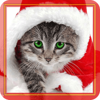 Xmas Kitty Live Wallpaper