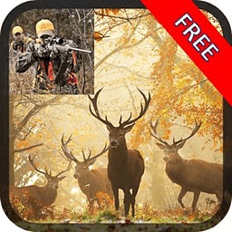 Deer Skill Hunter 2014