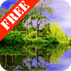 Forest Pond FREE