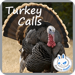 Turkey Hunting Calls