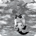 Cat Balloons Live Wallpaper