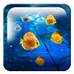 Gold Fish Cute Aquarium hd LWP