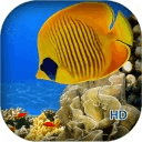 Coral Reef Aquarium HD LWP