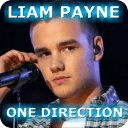 Liam Payne One Direction 1D