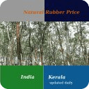 India rubber price