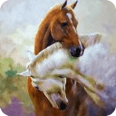 Caballo horse Wallpapers