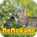 Cat Memory Game