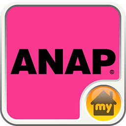 ANAP-ANAP INTERFACE Theme