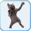 Dancing Cat