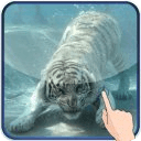 White Tiger Live Wallpaper Tap