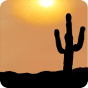 Sunset with Cactus LWP