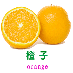 宝宝一点通