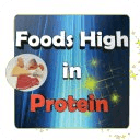 Foods High in Protein